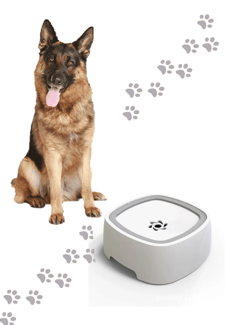 Plato de Agua Splash Control